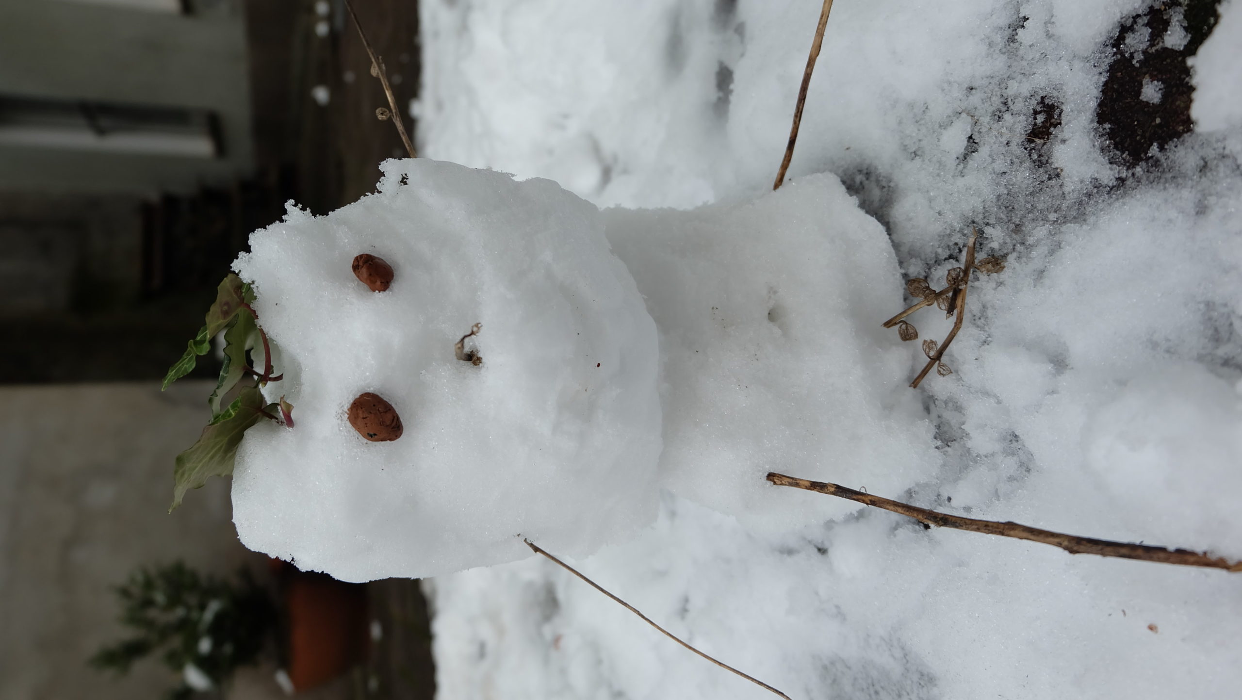 Schneemann